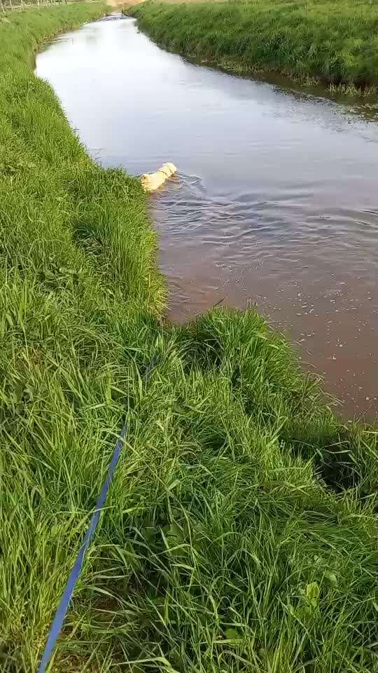 Schwimmen-Beitrag-Bild