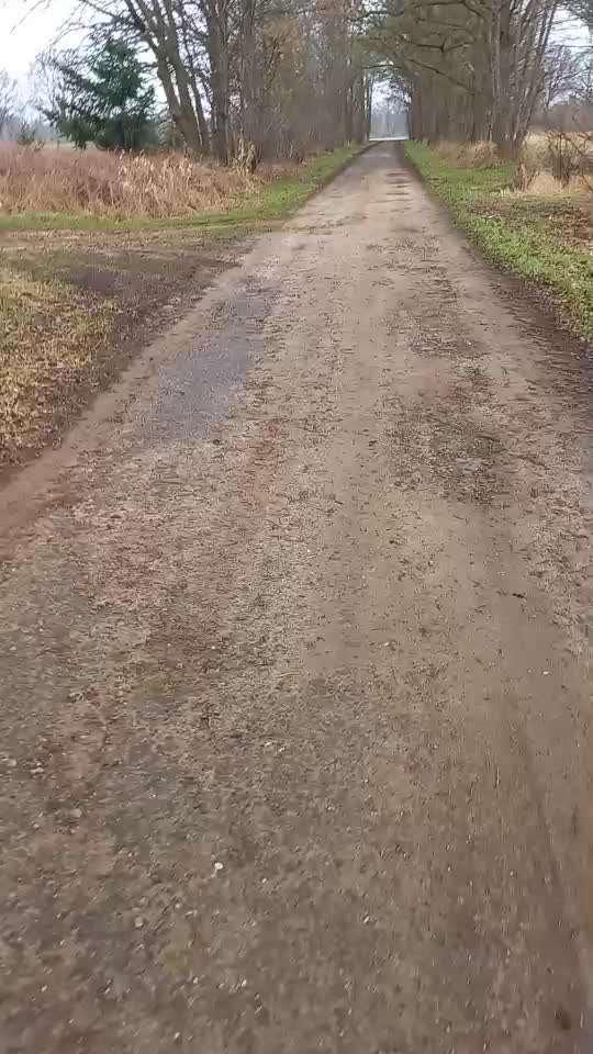 Trick Challenge ABC-Beitrag-Bild