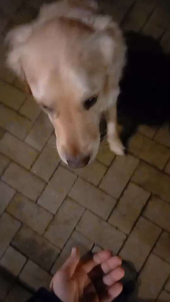 Trick Challenge ABC-Beitrag-Bild