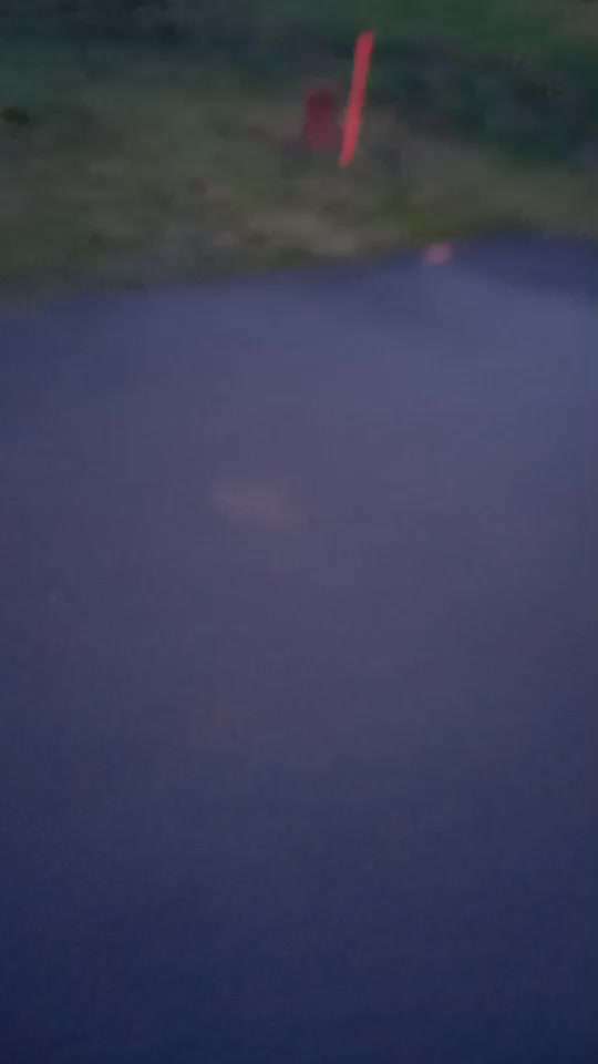 Trickdogging-Beitrag-Bild