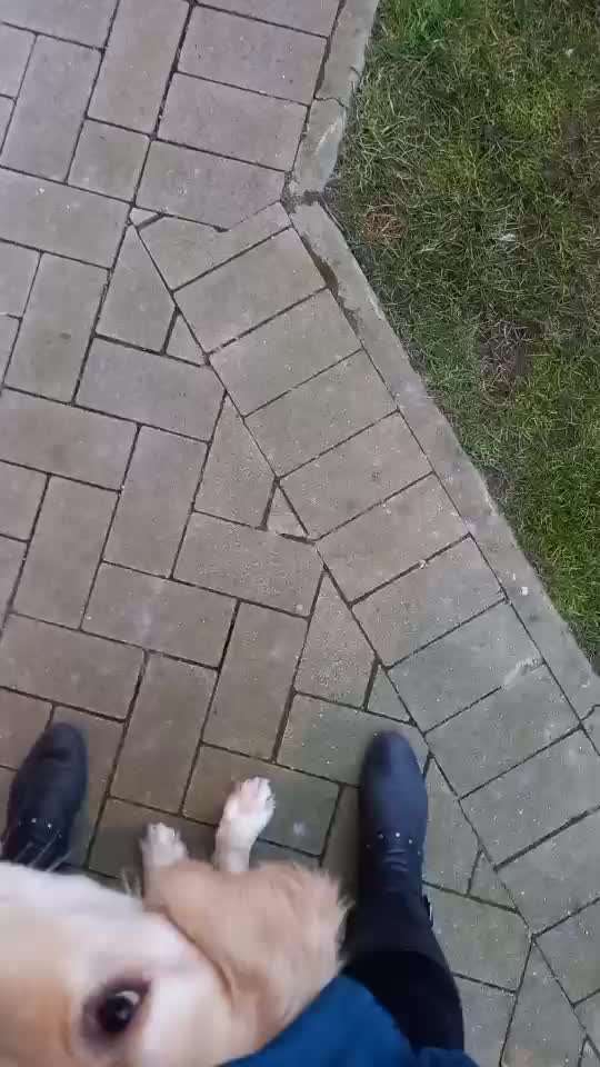 Trick Challenge ABC-Beitrag-Bild