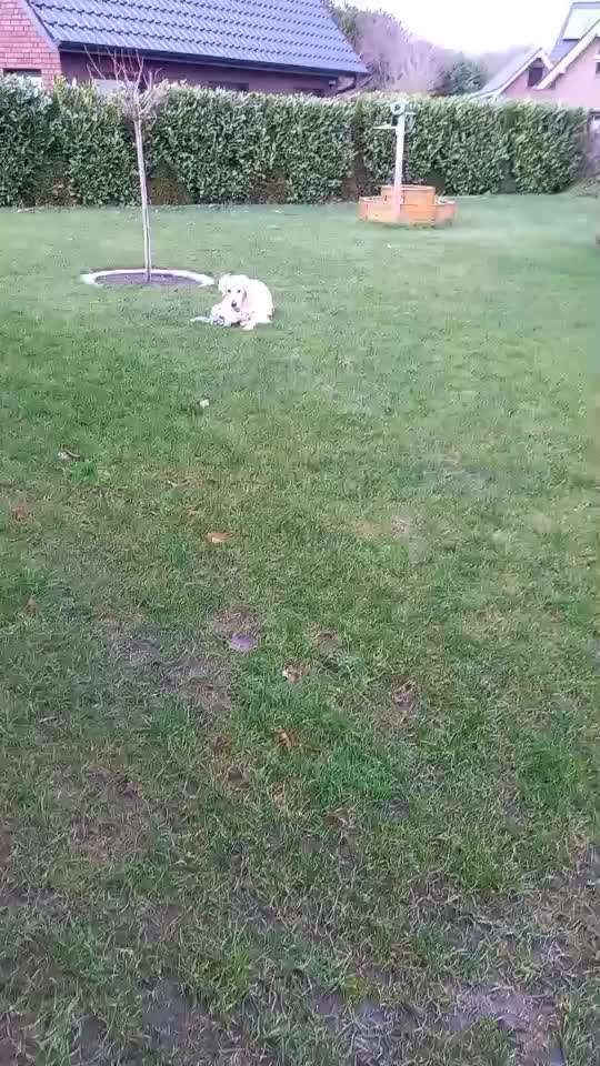 Trick Challenge ABC-Beitrag-Bild