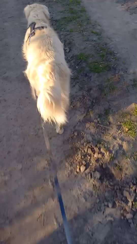 Trick Challenge ABC-Beitrag-Bild