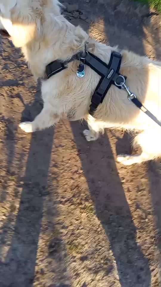 Trick Challenge ABC-Beitrag-Bild