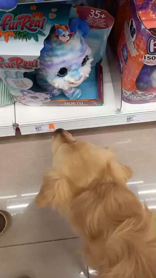 Impulskontrolle Challenge Nr.: 7
         "Gesellschaftsfähig"-Beitrag-Bild