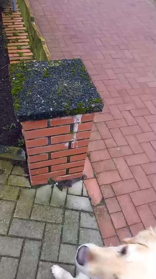 Trick Challenge ABC-Beitrag-Bild