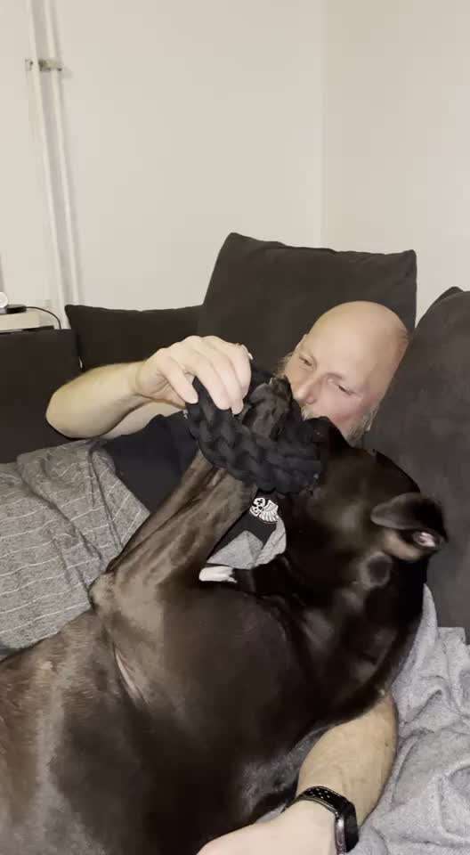 Video-Challenge Nr. 10
Der umsorgte Hund-Beitrag-Bild