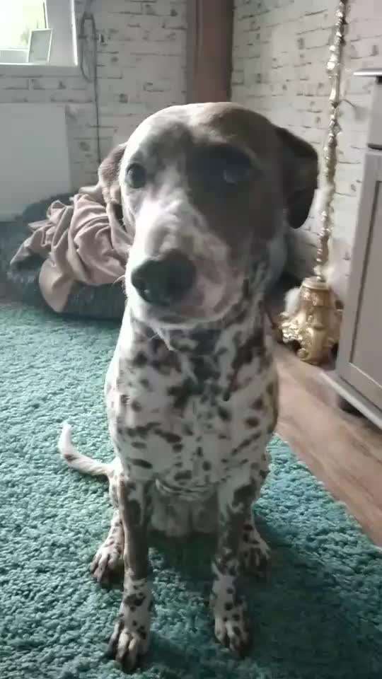 FUN AUFGABEN TOUR-Beitrag-Bild