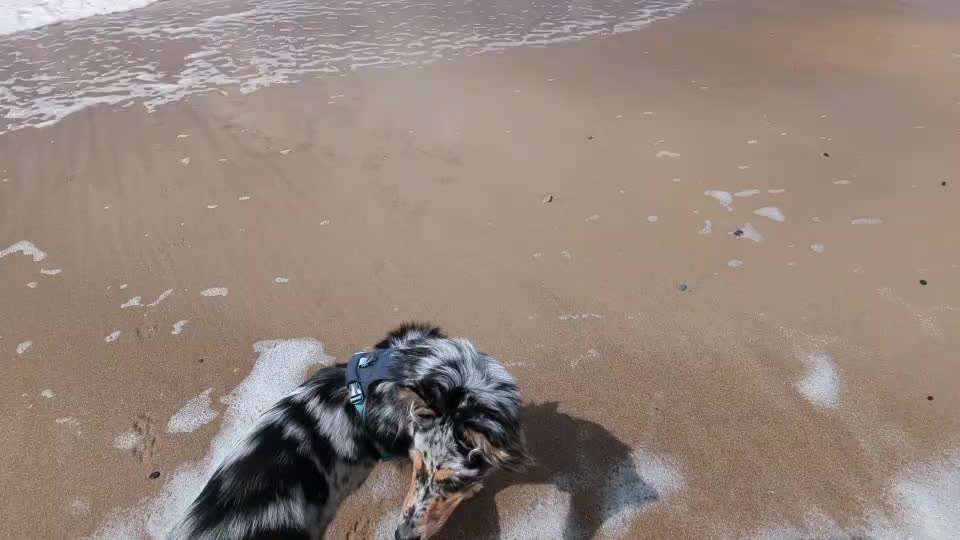 Urlaub am Meer-Beitrag-Bild