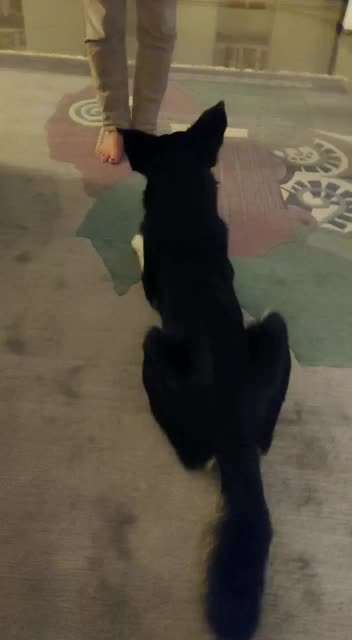 𝕋ℝ𝕀ℂ𝕂 ℂℍ𝔸𝕃𝕃𝔼ℕ𝔾𝔼 ℕℝ. 𝟚-Beitrag-Bild