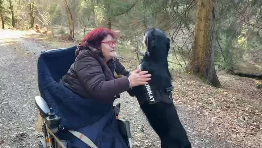 TierschutzhundeStammtisch🐕-Beitrag-Bild