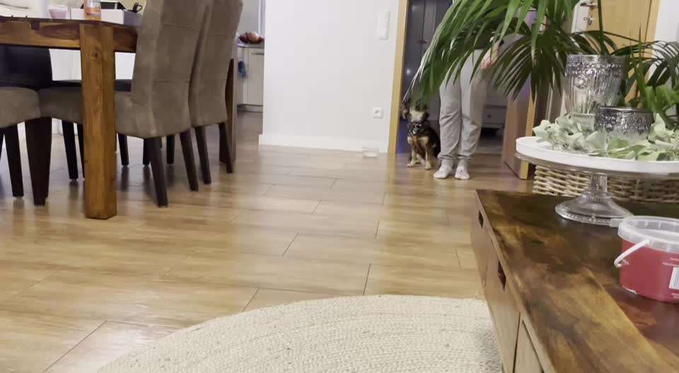 Trick Challenge Nr. 7-Beitrag-Bild