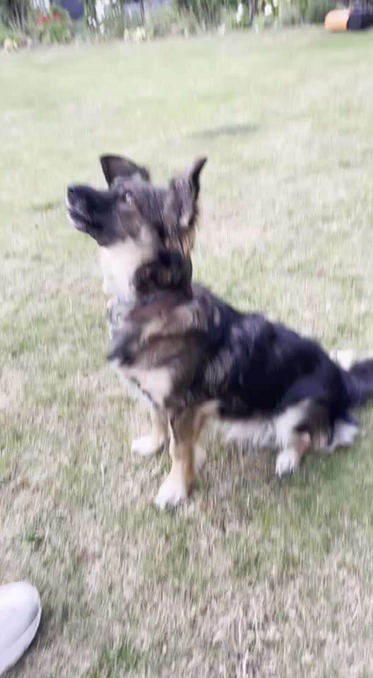 Trick Challenge Nr. 15-Beitrag-Bild