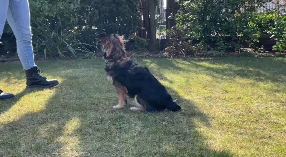 Trick Challenge Nr. 8-Beitrag-Bild