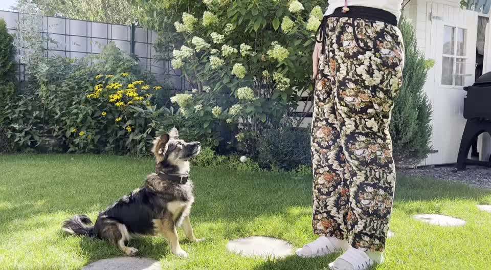 Trick Challenge Nr. 16-Beitrag-Bild