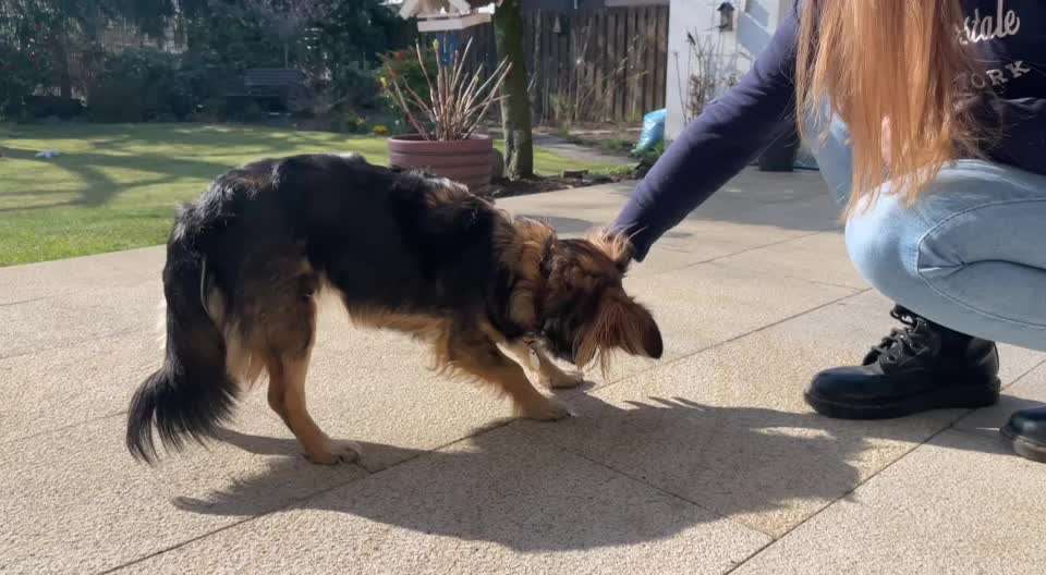 Trick Challenge Nr. 8-Beitrag-Bild