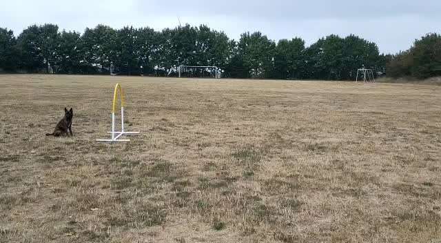 Hoopers unser Sport-Beitrag-Bild