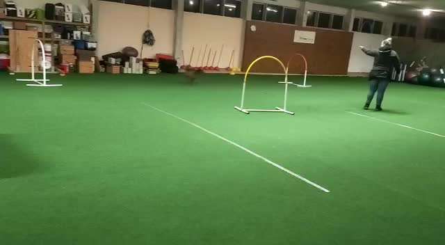 Hoopers unser Sport-Beitrag-Bild