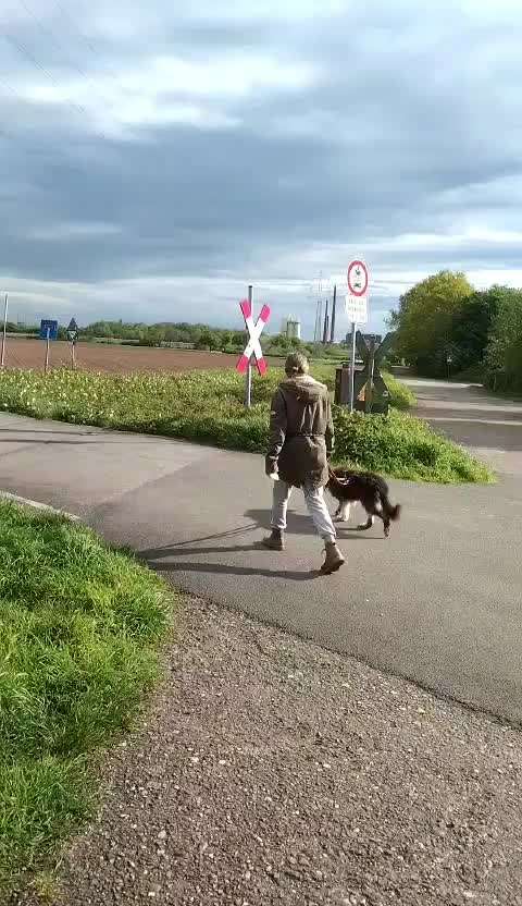 Bei Frauchen klappt vieles besser - Warum?-Beitrag-Bild