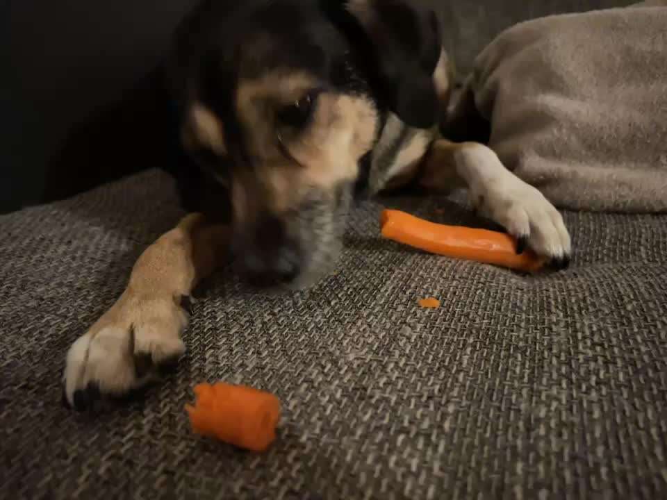 Video Challenge Nr. 4 - Lecker, Lecker-Beitrag-Bild