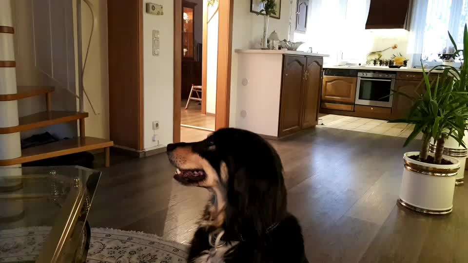 12. Kurzgeschichten-Challenge: Alltagshelfer-Beitrag-Bild