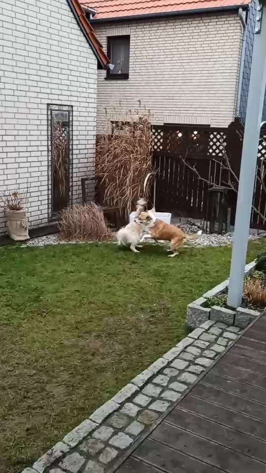 Spielzeug-Beitrag-Bild