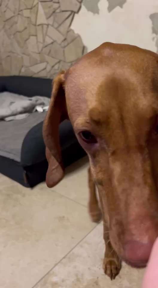 Gewitter Angst-Beitrag-Bild