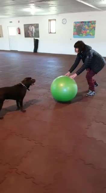 Trick Challenge ABC-Beitrag-Bild