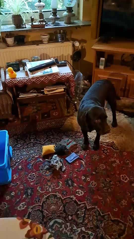 36. Trick-Challenge: Aufräumen!-Beitrag-Bild