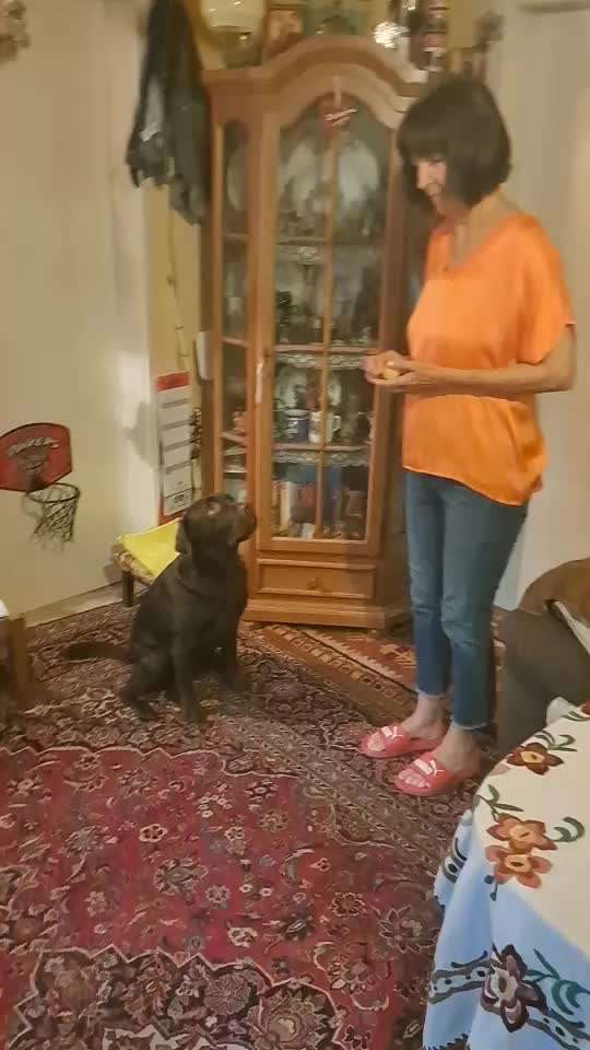 36. Trick-Challenge: Aufräumen!-Beitrag-Bild