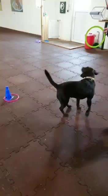 Trick Challenge ABC-Beitrag-Bild