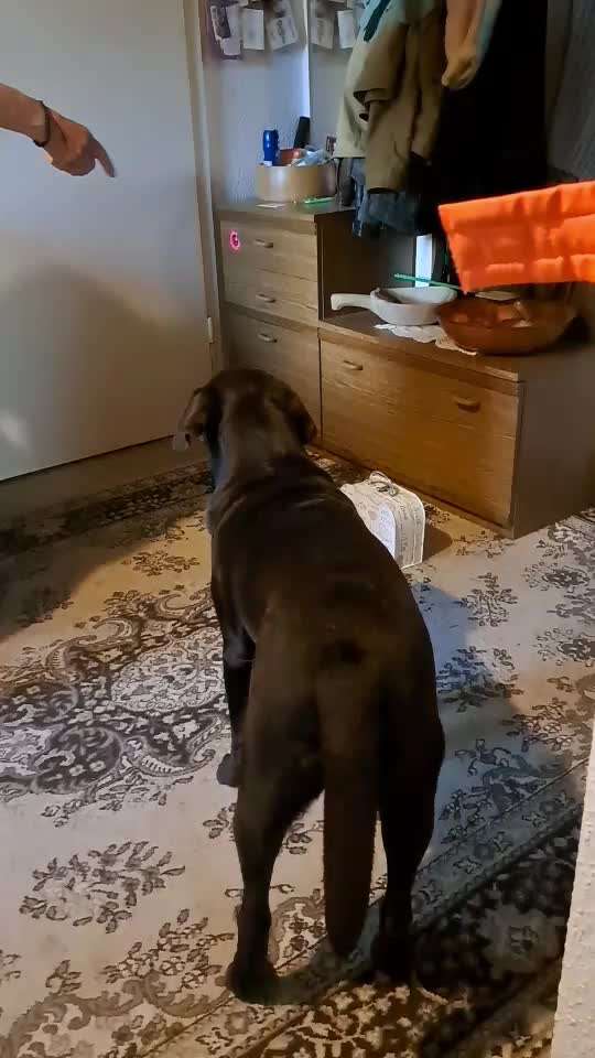 Trick Challenge ABC-Beitrag-Bild