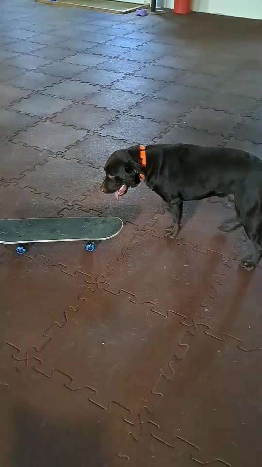 Trick Challenge ABC-Beitrag-Bild