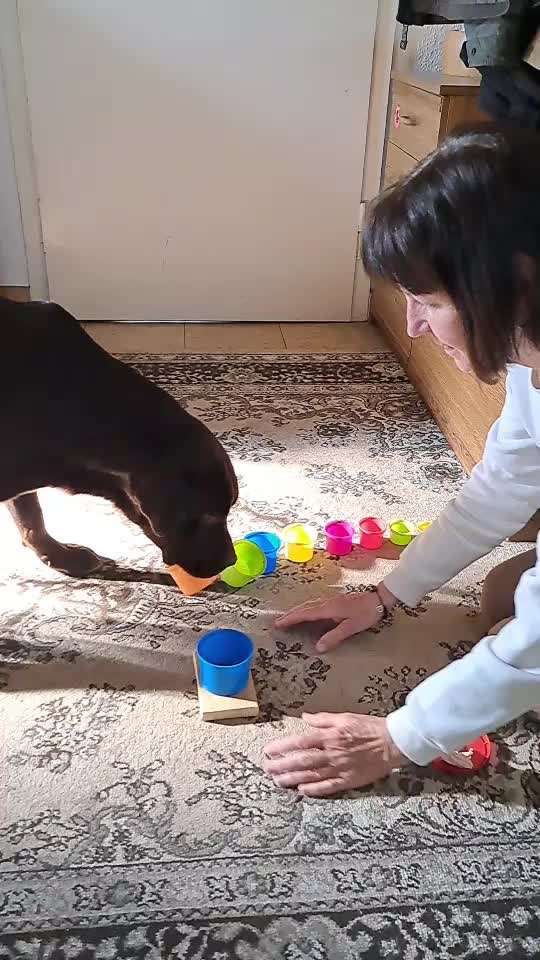 Trick Challenge ABC-Beitrag-Bild