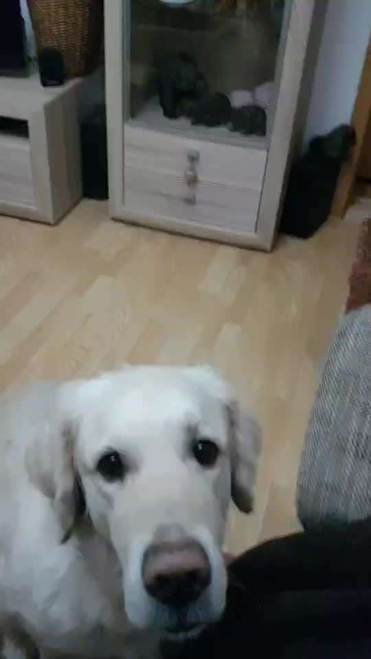 Handy-Foto Challange Nr. 12-Beitrag-Bild