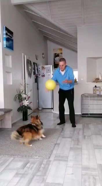 15. Video Challenge.  In SloMo die Welt erkunden!-Beitrag-Bild