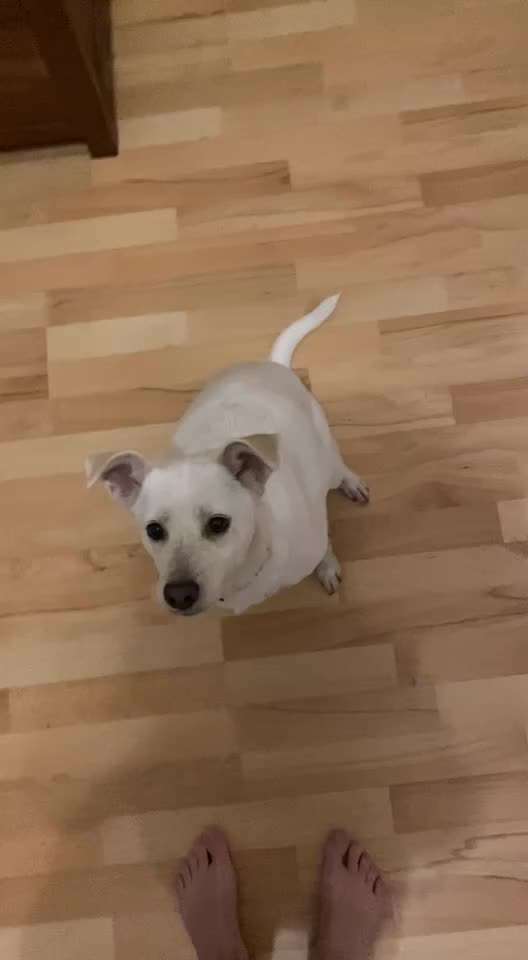 𝕋ℝ𝕀ℂ𝕂 ℂℍ𝔸𝕃𝕃𝔼ℕ𝔾𝔼 ℕℝ. 𝟙-Beitrag-Bild