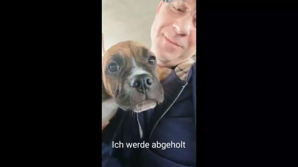 8. Kurzgeschichten Challenge 
Wie ich groß geworden bin-Beitrag-Bild