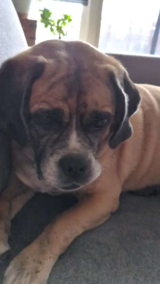 44. Impulskontrolle Callenge: ,,Essen ins Gesicht legen"-Beitrag-Bild