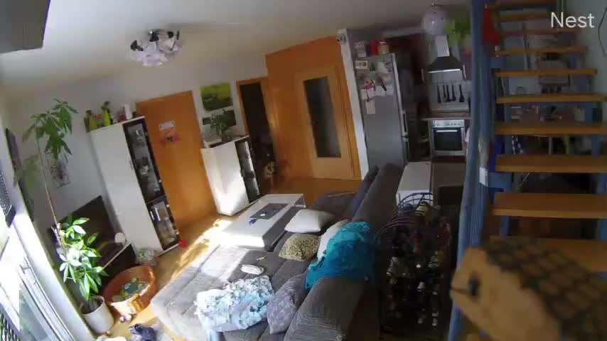 57. impulskontroll Challenge / alleine bleiben-Beitrag-Bild