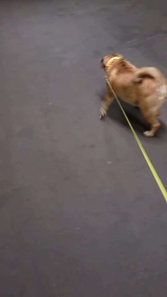 55. Impulskontrollchallenge
Kontrolliertes Aussteigen aus dem Auto-Beitrag-Bild