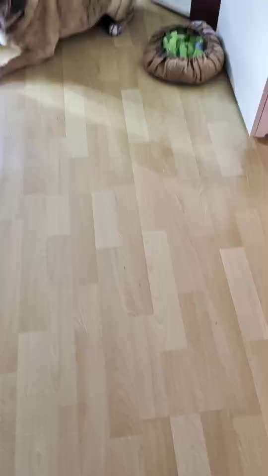 59. Impulskontrollchallenge " Qual der Wahl"-Beitrag-Bild