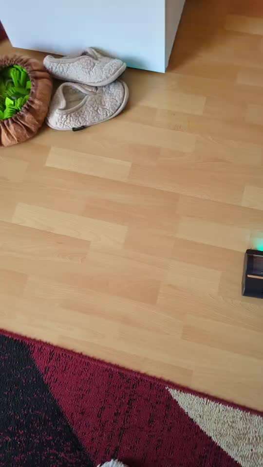 52. Impulskontroll übung - Du brauchst nicht mithelfen-Beitrag-Bild
