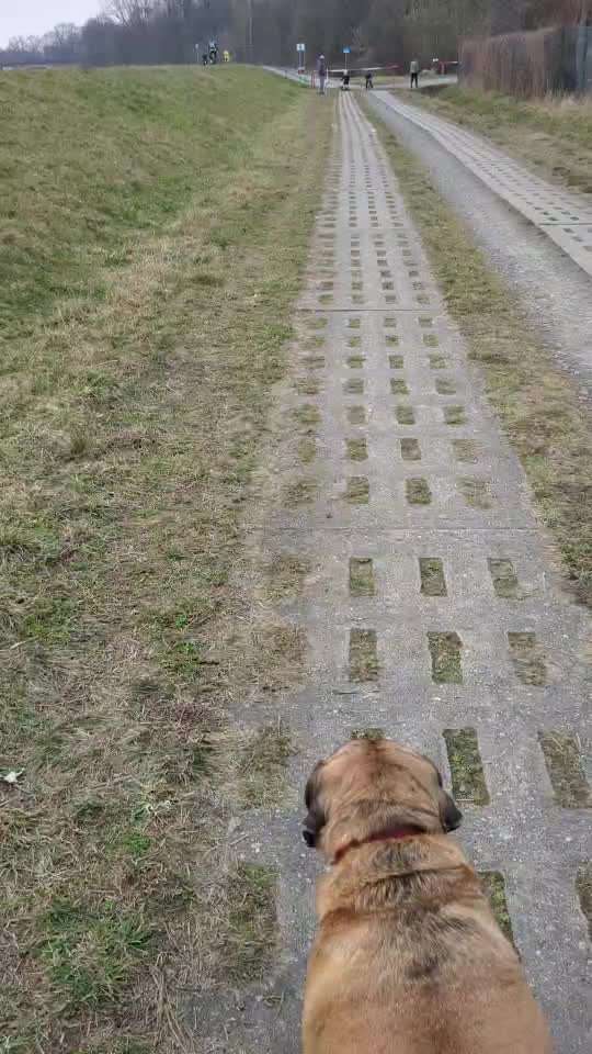 50. Impulskontrolle Übung: Verfolgen-Beitrag-Bild