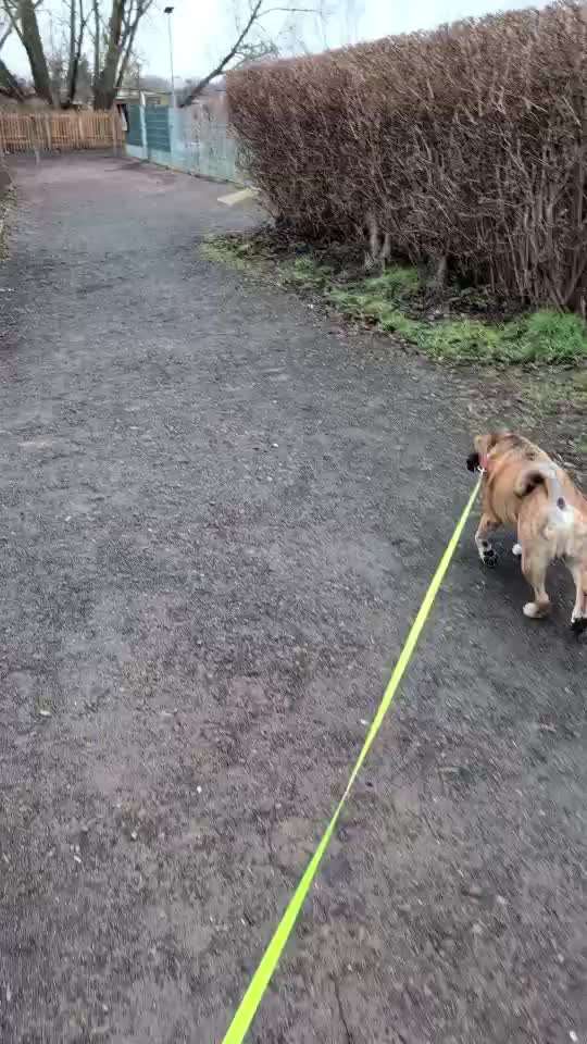 Impulskontrollübung Nr 69 : Ich achte auf Dich !-Beitrag-Bild