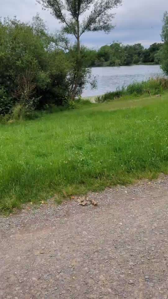 54. Impulskontrollchallenge  PAUSE MACHEN !-Beitrag-Bild