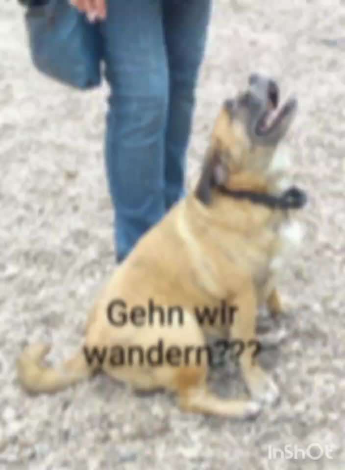 Kurzgeschichten-Challenge Nr. 18-Beitrag-Bild