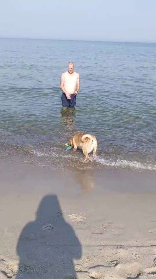 50. Video Challenge - Wasserscheu oder nicht-Beitrag-Bild