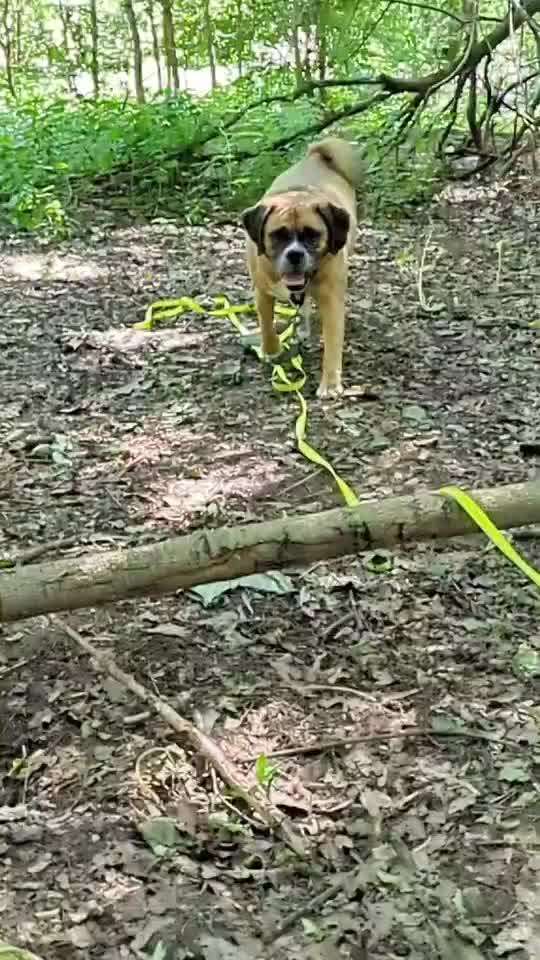 46. Video Challenge - Trainingserfolg-Beitrag-Bild