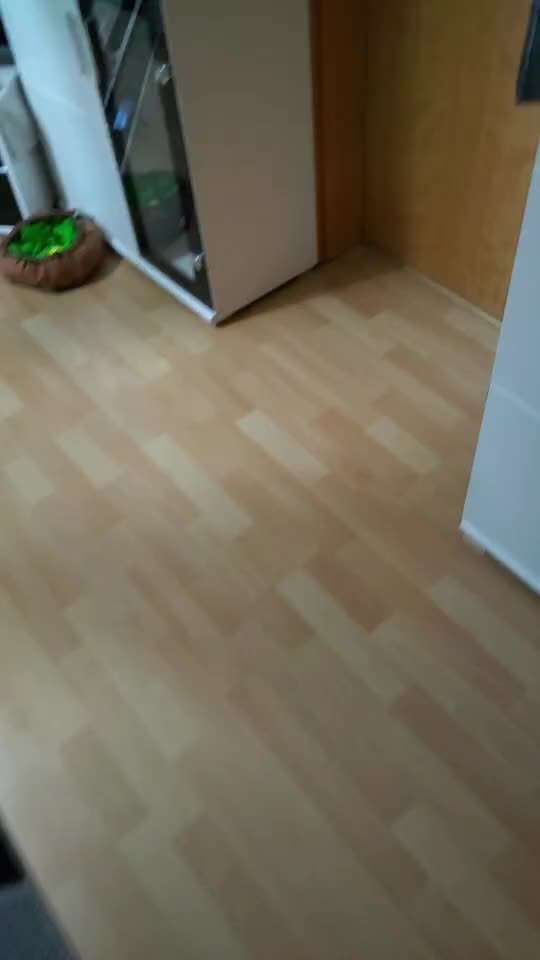 Handy Video Challenge Nr. 39- Bellen u.s.w.-Beitrag-Bild